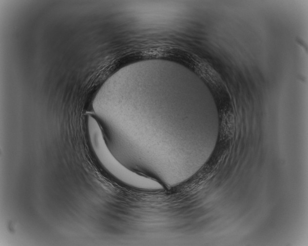 X0000097760601200804041127