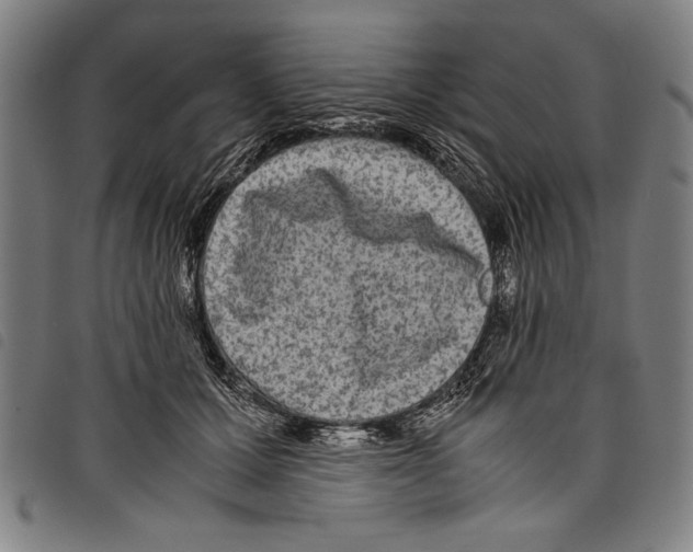 X0000097760607200804041127