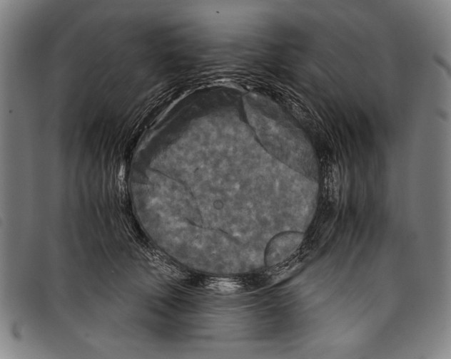 X0000097760610200804041127