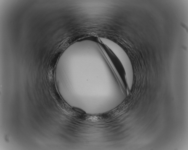 X0000097760611200804041127