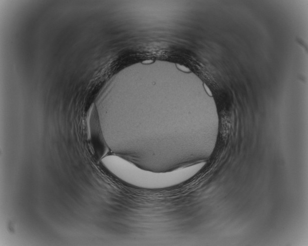 X0000097760613200804041127