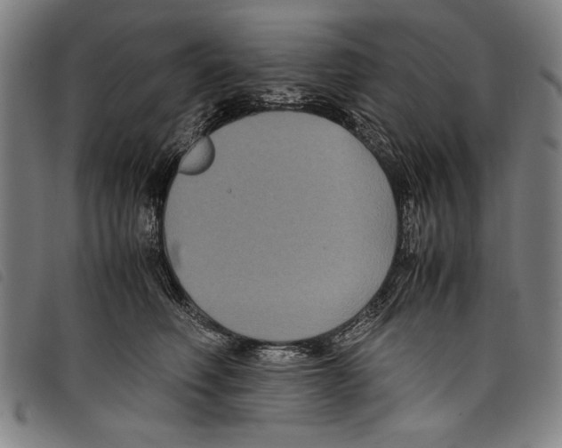 X0000097760614200804041127