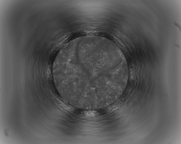 X0000097760618200804041127