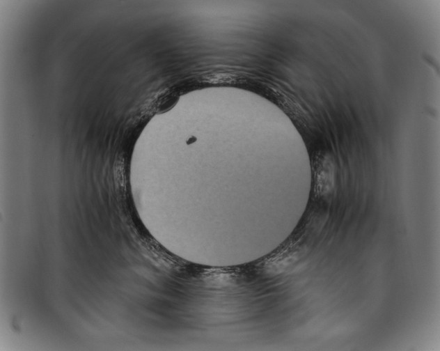 X0000097760620200804041127