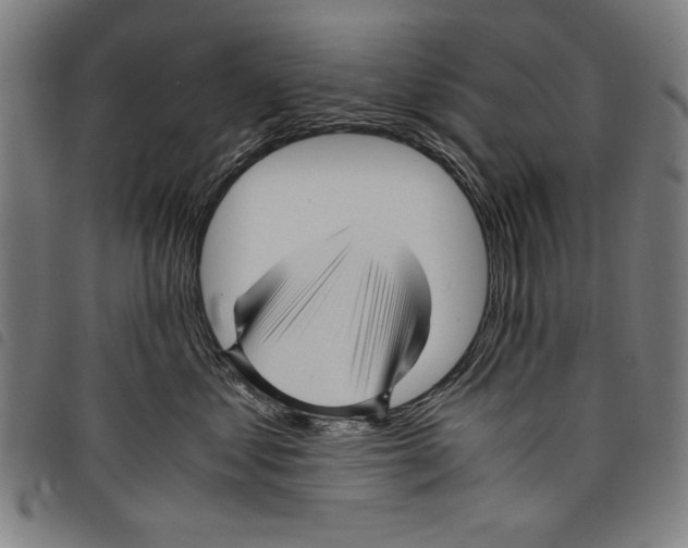 X0000097760621200804041127