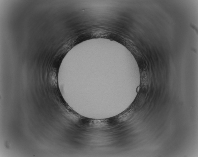 X0000097760622200804041127