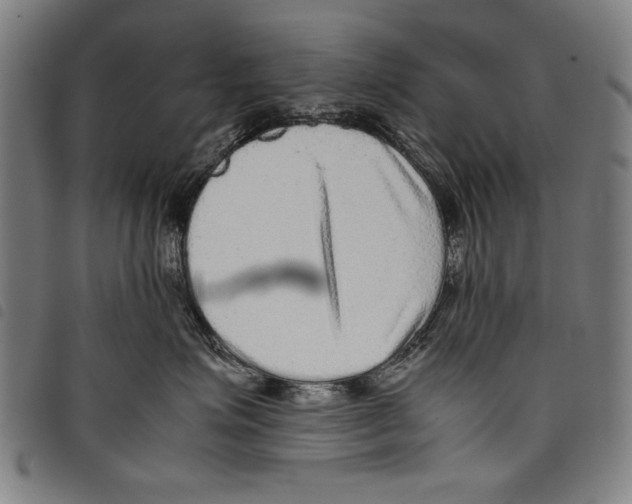 X0000097760623200804041127