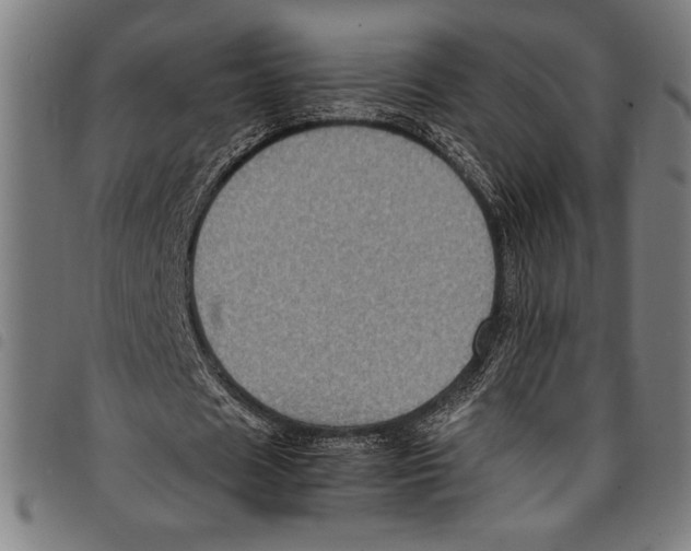 X0000097760625200804041126