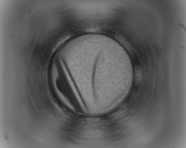 X0000097760626200804041126