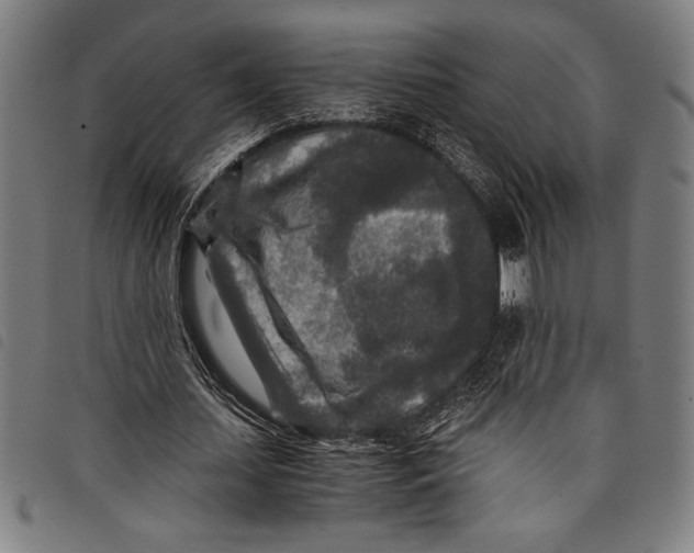 X0000097760627200804041126