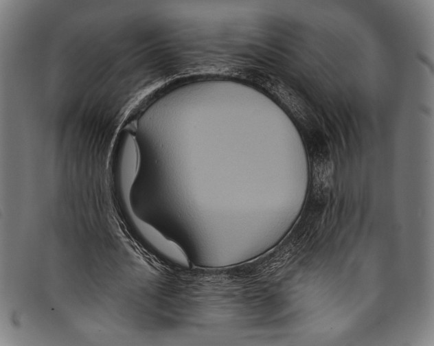 X0000097760628200804041126