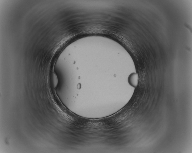 X0000097760629200804041126