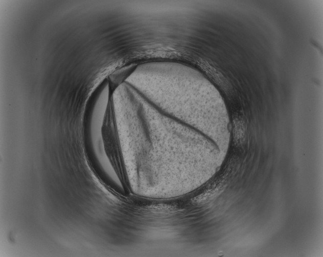 X0000097760630200804041126