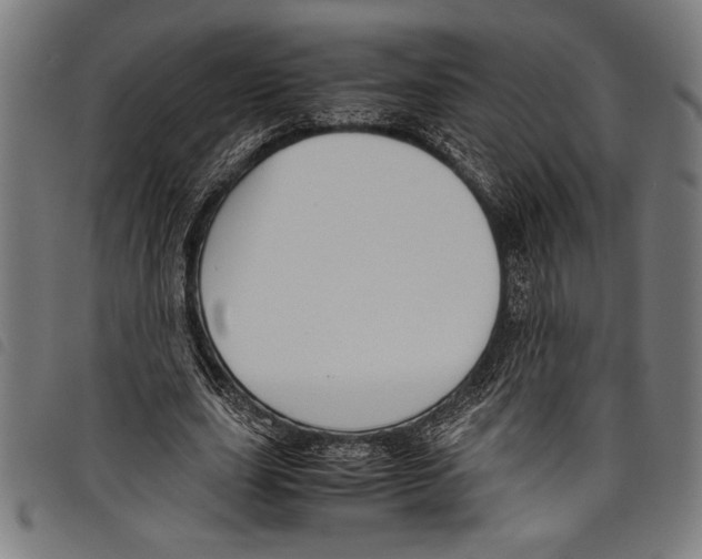 X0000097760631200804041126