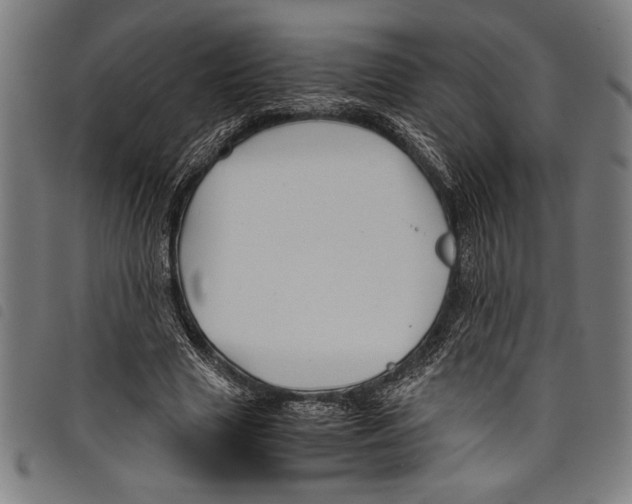 X0000097760633200804041126