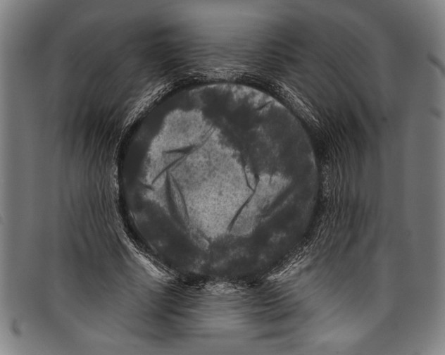 X0000097760634200804041126