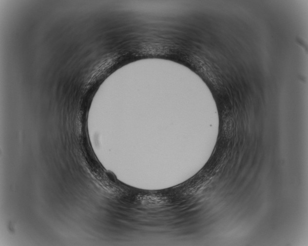 X0000097760635200804041126