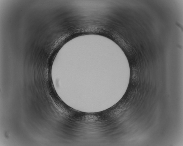 X0000097760636200804041126