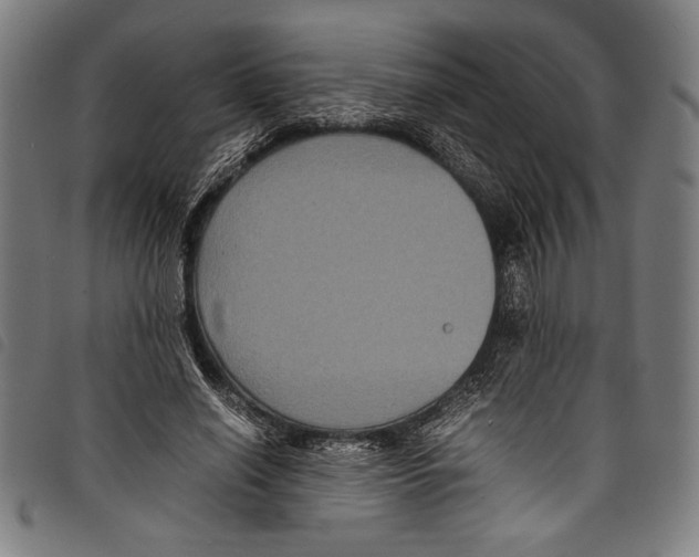 X0000097760638200804041126