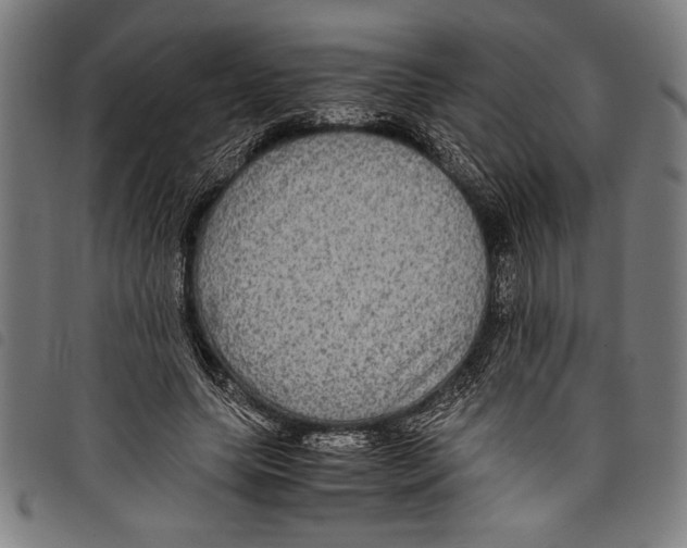 X0000097760639200804041127