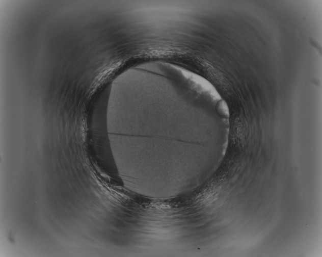 X0000097760640200804041127