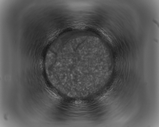 X0000097760641200804041127