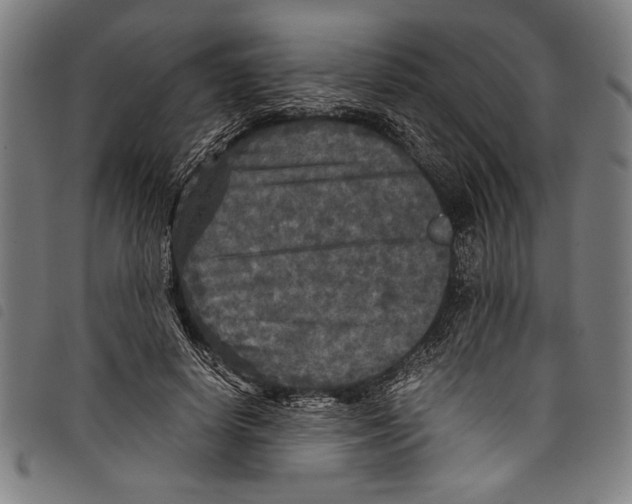 X0000097760642200804041127