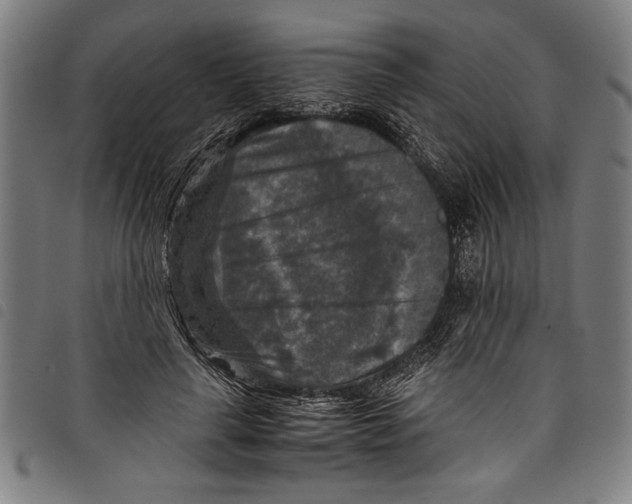 X0000097760643200804041127