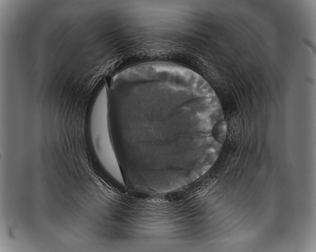 X0000097760644200804041127