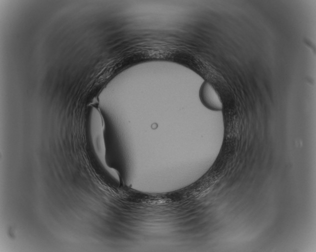 X0000097760646200804041127