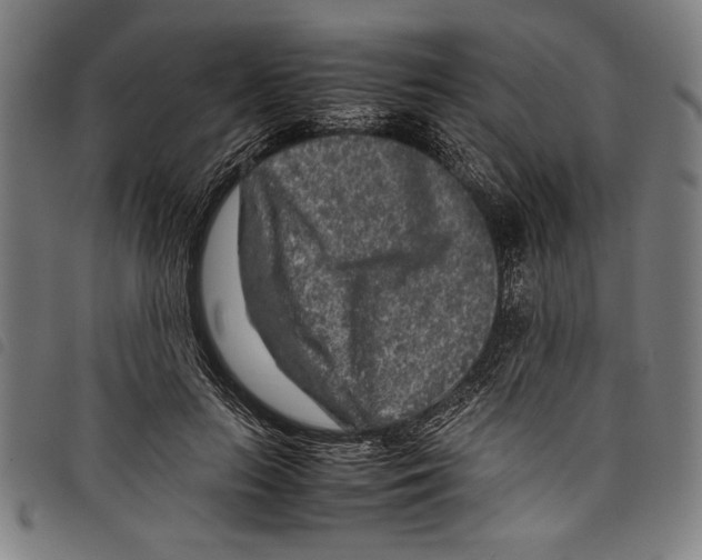 X0000097760647200804041127