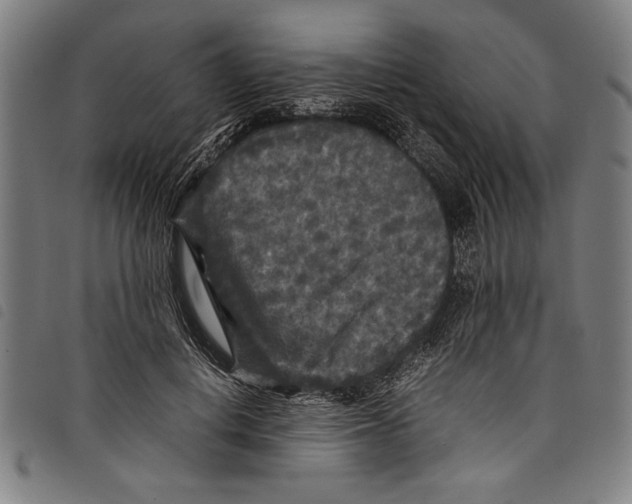 X0000097760648200804041127