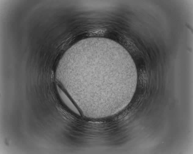 X0000097760649200804041127