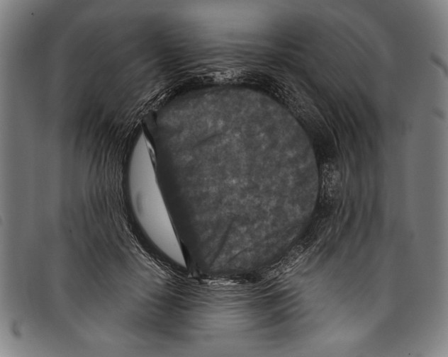 X0000097760650200804041127