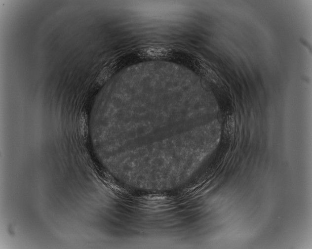 X0000097760651200804041127