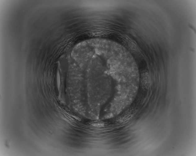 X0000097760653200804041127