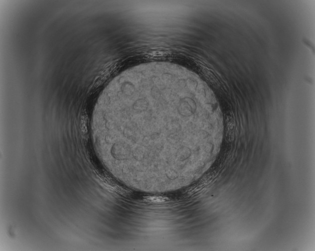 X0000097760654200804041127