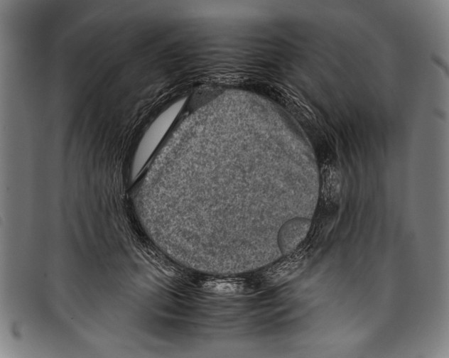 X0000097760655200804041127