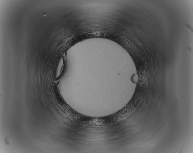 X0000097760656200804041127