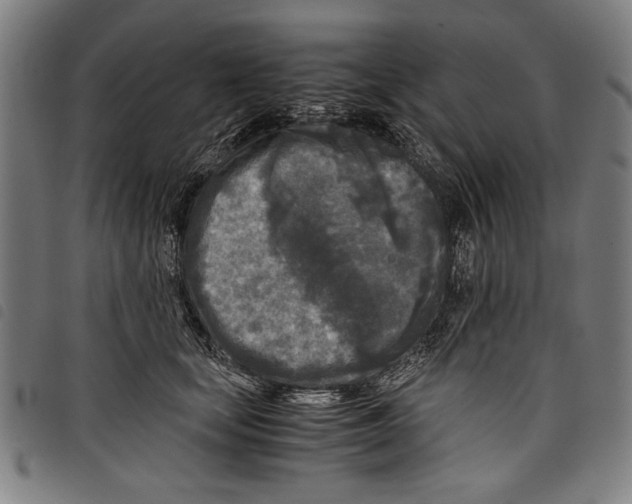 X0000097760659200804041127