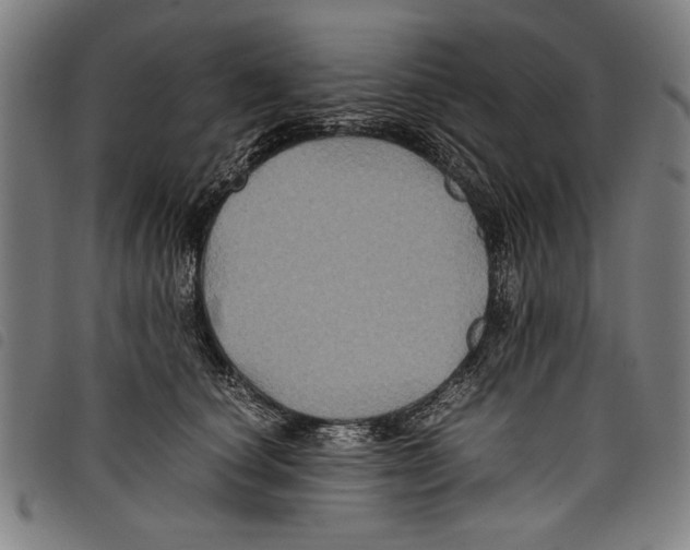 X0000097760660200804041127