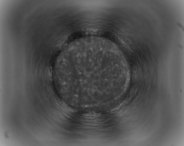 X0000097760661200804041127