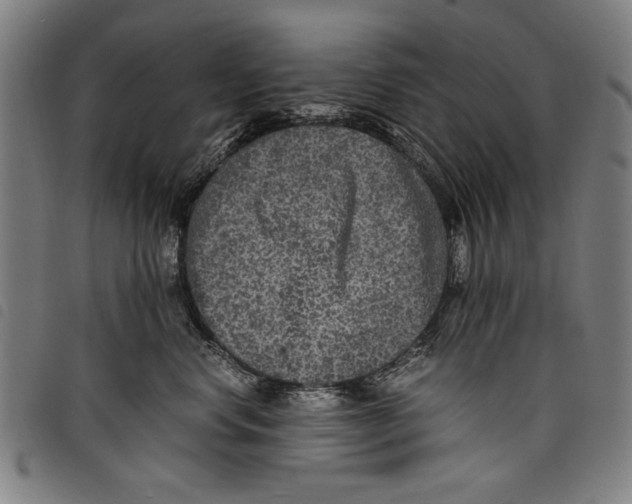 X0000097760668200804041127