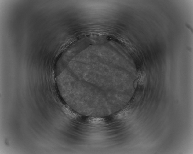 X0000097760670200804041127