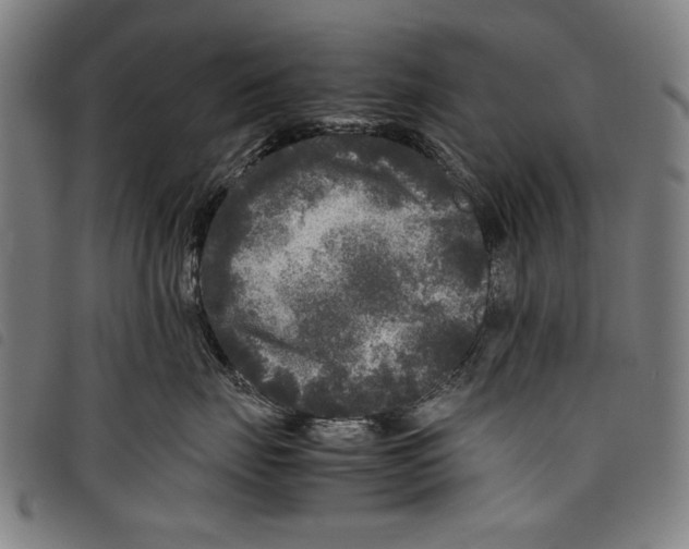 X0000097760671200804041127