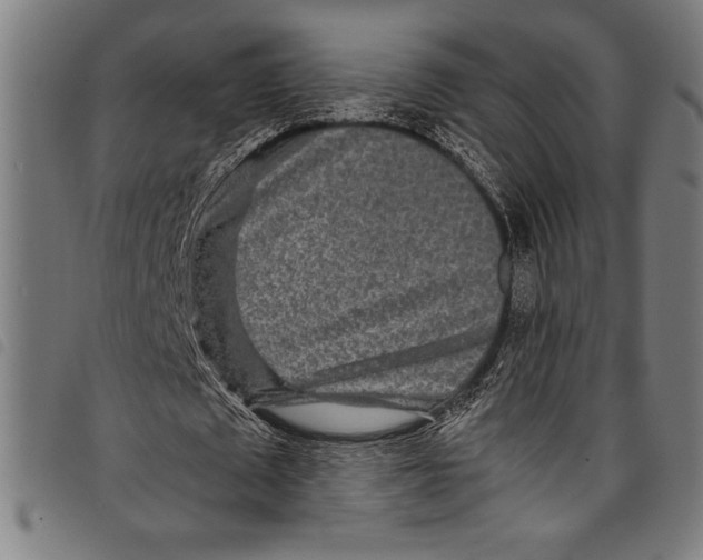 X0000097760673200804041126