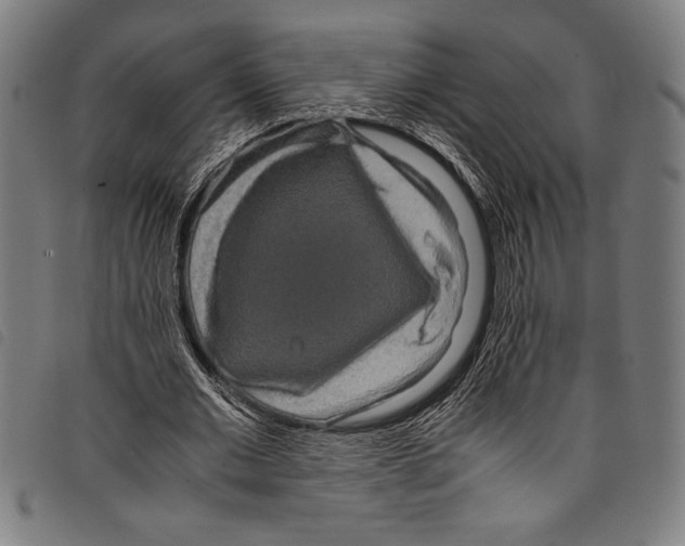 X0000097760677200804041126