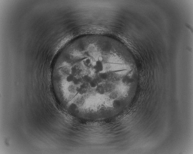 X0000097760679200804041126