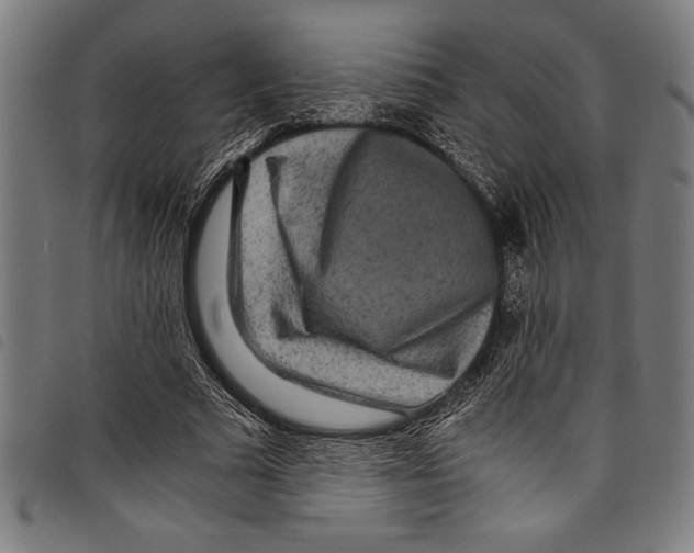 X0000097760681200804041126