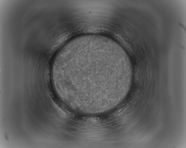 X0000097760683200804041126